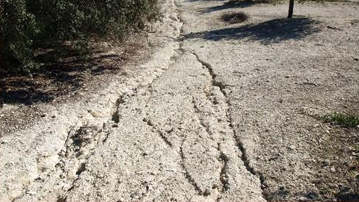 Investigadores del IAS-CSIC recuerdan que sin suelos sanos no podemos garantizar la alimentación.jpg